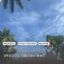 동보농장 | 2025년 6살 아이와 함께한 무계획 보홀 여행기(feat, 최고의 흐린날씨속 물놀이)