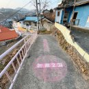 등대수산 - 남동구 장도로 86-17 | 등대수산