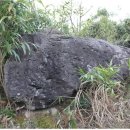 옥암동 초당산 고분 이미지