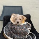 팔팔식육식당 이미지