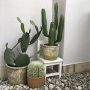 스튜디오이뎀