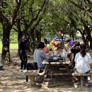 모두여행(무장애 여행) 이미지