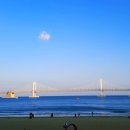 핑키펑키 이미지