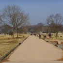 해미칼국수 이미지