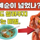 노인의 식단에 절대 빠져서는 안 될 10가지 음식! | 이것을 먹고 더 강하고 젊어지세요! 이미지