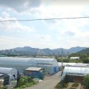 구내농장 이미지