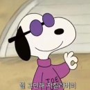 산남 패밀리 복싱 GYM | [청주 산남동]산남패밀리복싱GYM_복싱 10개월 후기_복싱장 추천, 여자운동 추천