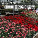 용인-남사-1 | 용인 남사 에르베 플라워 아울렛 방문 후기