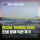 보람토건(하늘과구름) | 태국 빠이 매홍손 여행의 정점! 반자보 운해 명당에서 만난 인생 일출과 절벽국수 후기