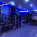 킹덤스포렉스 네이버블로그
