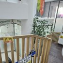 번외편) 남성 산부인과 산전검사 가임력검사 후기