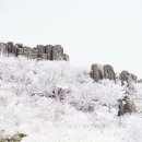 농축산마트 앞 이미지