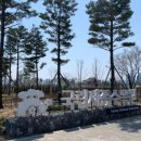 (주)세종투어 네이버블로그