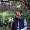 세계 끝의 버섯 이미지