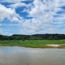 고랑포구 이미지