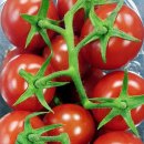 도경농장 이미지