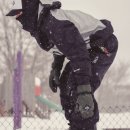 글로벌 서플라이(supply) 이미지