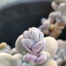 염*석 네이버블로그