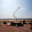 스카이타워 이미지