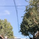 인천아트플랫폼 H동 | 인천 아트플랫폼 요기조기 음악회 현장 이벤트 후기까지