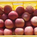 이정기농장 이미지