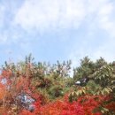 마곡하늬근린공원 이미지