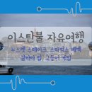 신시가지 (스타벅스 앞) | 튀르키예9박10일 : 이스탄불 - 누스렛 스테이크, 스타벅스 베벡, 갈라타 탑, 고등어 케밥