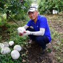 한세계농장 이미지