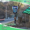 금산군청 광장 이미지