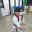 경희대청룡태권도 이미지