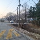 부평1리 이미지