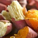 SR 휘트니스 이미지