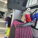 미래교육관 태권도장 이미지