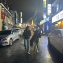 김태희청국장 | [일상 기록] 11/1 - 11/30