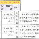 아로니아묘목 가격과 국내/외 시장 동향 이미지