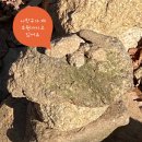 (유)고려종합건설 | 운 안 풀려서 진짜 관악산 다녀온 썰 (서울대 건설환경종합연구소-연주대 최단 코스 / 꿀팁 방출)