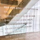 서울대학교미술관 | 서울대학교미술관 10월 무료전시 &lt;차원확장자&gt; 관람 후기