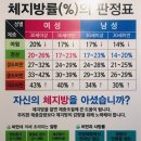 인생점핑다이어트
