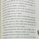 아미바오 이미지
