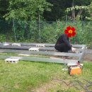 저온저장고 앞 이미지