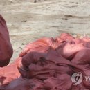 김재선농장 연합뉴스
