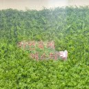 아로마테라피에스테틱 | 체형 통증 전신마사지 자연속에 에스테틱 아로마오일테라피 후기