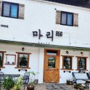 마리856 네이버블로그