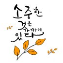 미미 (美美) 이미지