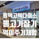 랜드피시 이미지