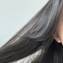 시흥 미용실 배곧 헤어샾 배곧 미용실에이바헤어 배곧점 레이어드컷 히피펌 후기