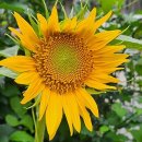 산내뜰생태어린이집 이미지