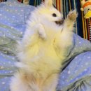 로고스 동물병원 이미지