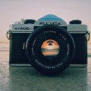 사진을 찍다 이미지