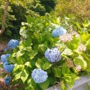 지리산예치출렁다리펜션 이미지